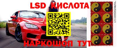 ГАЛЛЮЦИНОГЕННЫЕ ГРИБЫ Кулебаки