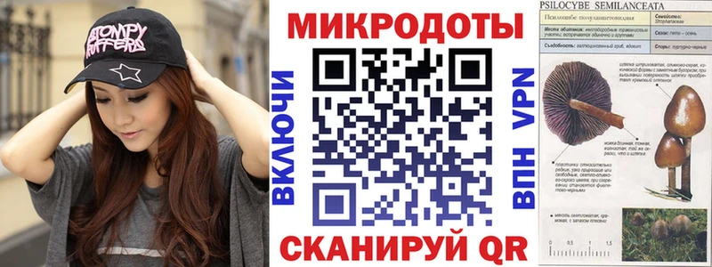 ОМГ ОМГ онион  магазин продажи   Петровск  Галлюциногенные грибы Psilocybine cubensis 