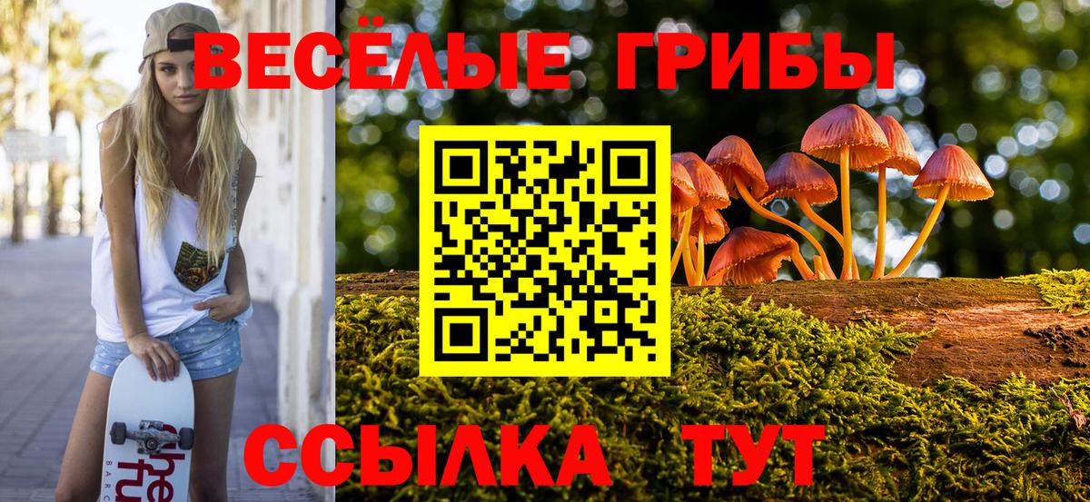 Псилоцибиновые грибы прущие грибы Петровск