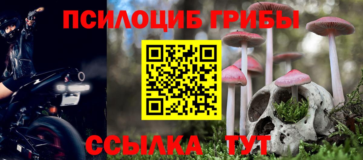 Псилоцибиновые грибы MAGIC MUSHROOMS  Вход с VPN  Петровск  купить наркотик  Галлюциногенные грибы Psilocybe 